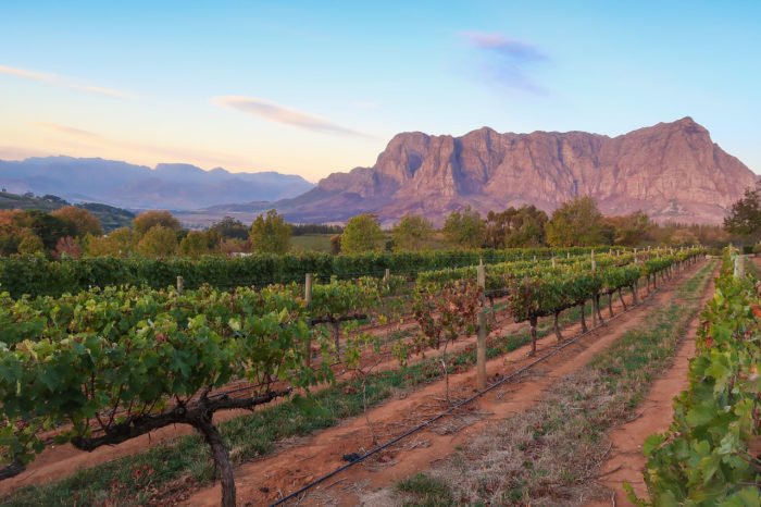Things to do in Stellenbosch Beyond the Wine!