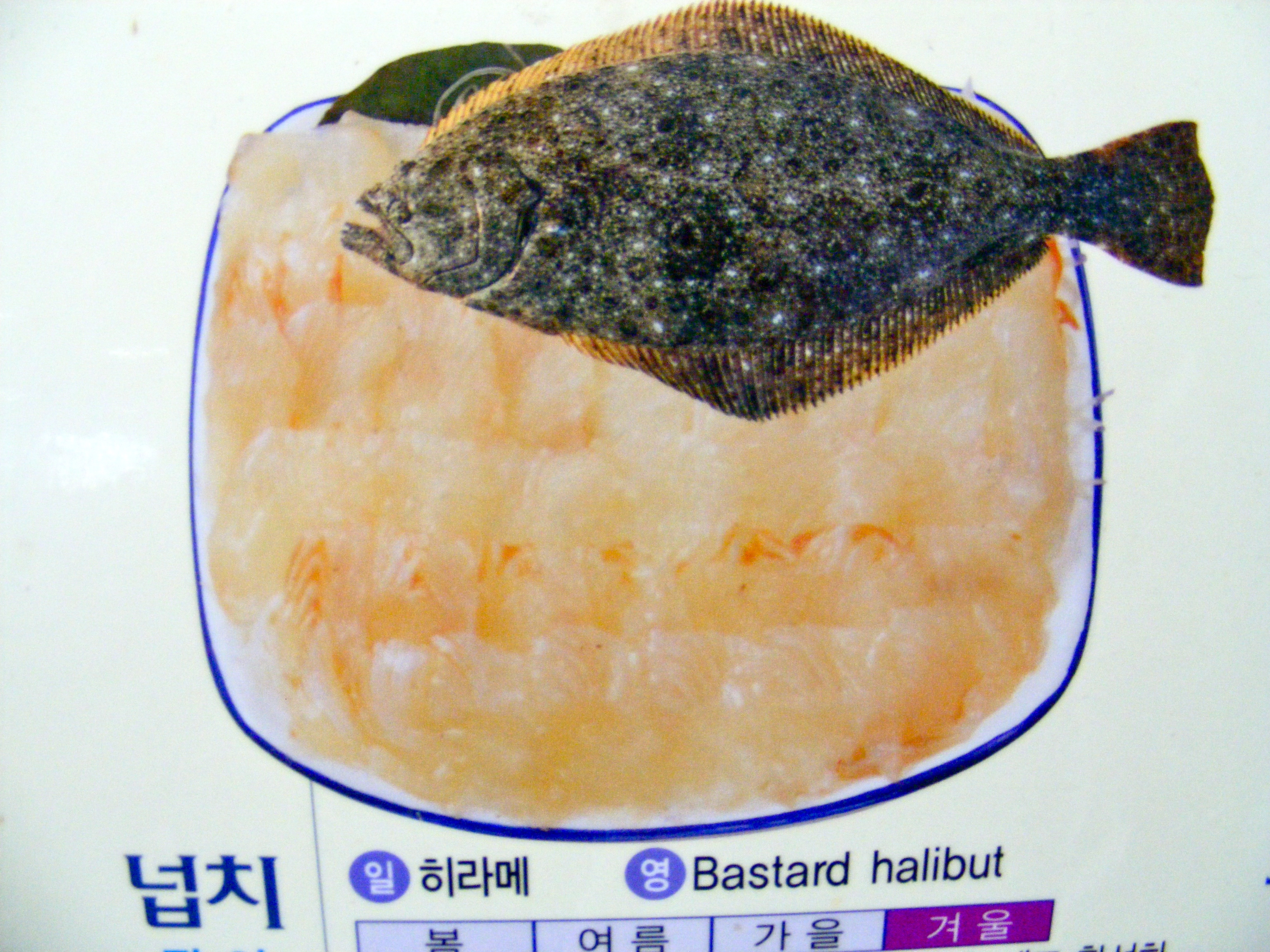Bastard halibut 'engrish' sign