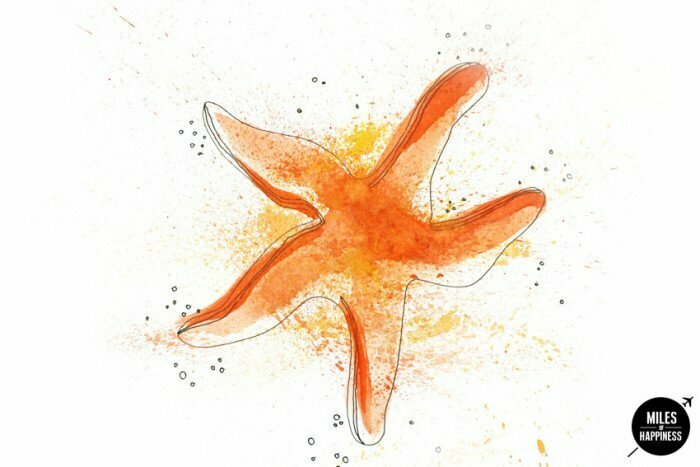 Miles Of Happiness Starfish underwater 
