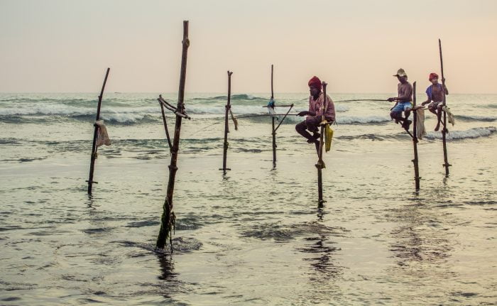 Stil fishermen in Galle, Sri Lanka