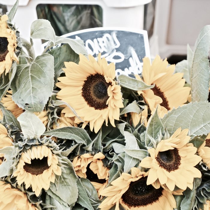 Visit the Columbia Road Flower Market