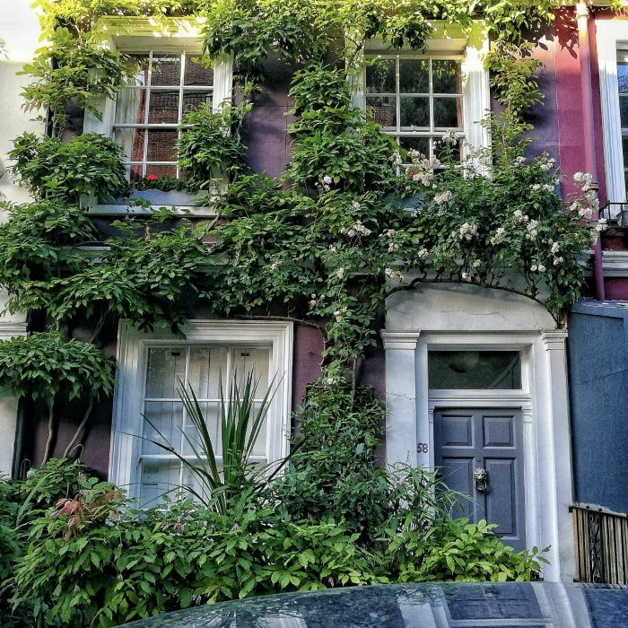 Explore Notting Hill's facades.