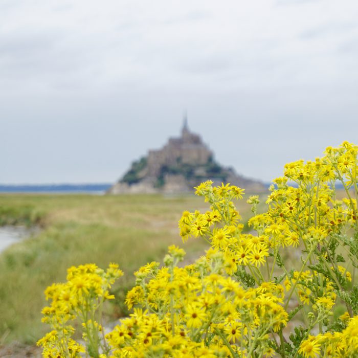 Places to Visit in Northern France that are Bucket List Worthy! Mont Saint Michel: One of the most popular places to visit in Northern France.