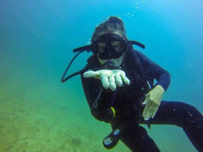 Alesha of Nomadasaurus scuba diving in Dos Ojos, Mexico