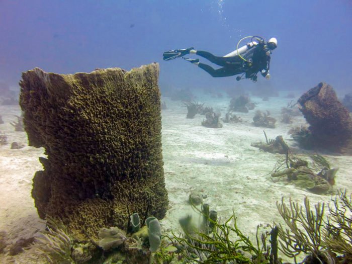 Rika from Cubicle Throwdown diving in Roatan, Honduras