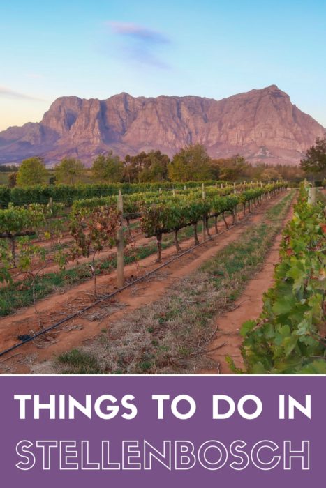 Things to do in Stellenbosch | South Africa Travel Guide 