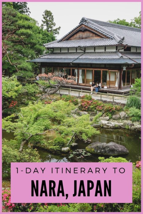 Nara Travel Itinerary: What so SEE, DO and EAT on a day trip to Nara, Japan!