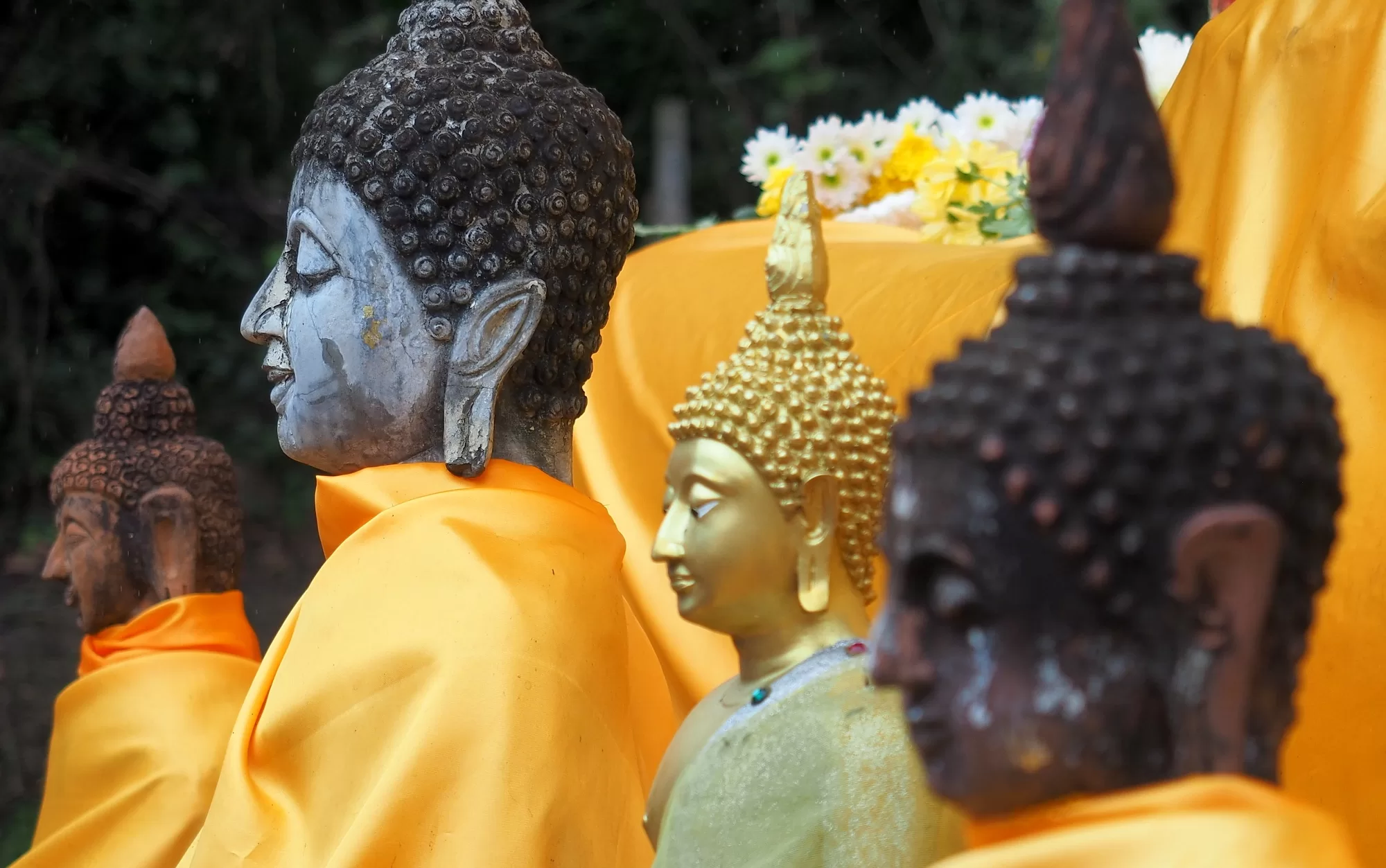 I'm Dreaming About Thailand Buddhist Sculptures 