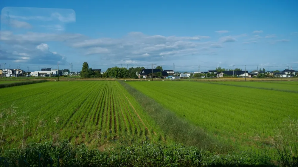 Farm fields while travelling the Toyama Chiho Railroad 