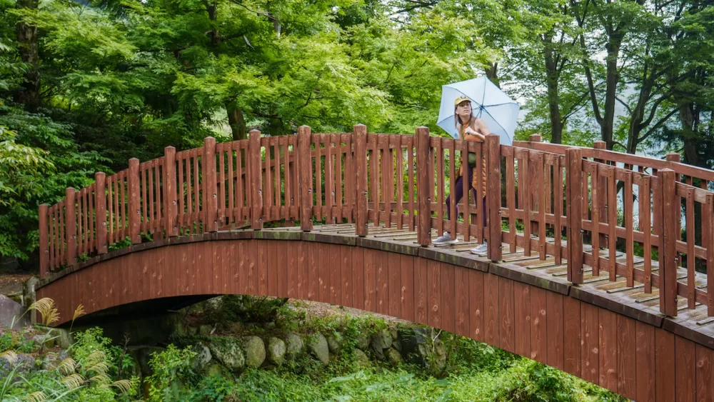 Wooden bridge on the way to Fudo Falls in Yuzawa
