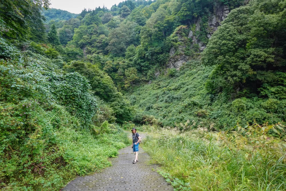 Summer in Yuzawa means lush green nature 