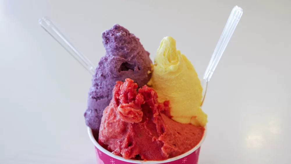 Hokkaido ice cream cup with three different flavours: pumpkin, purple sweet potato and haskap berry