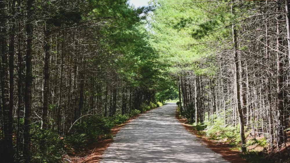 You can hike or bike the Rum Runners Trail in Nova Scotia 