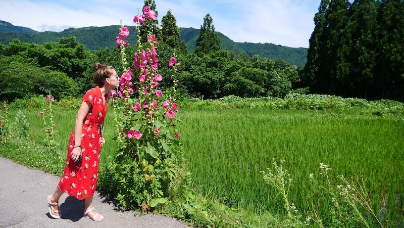 Shirakawago day trip from Takayama, Japan as enjoyed by That Backpacker Audrey Bergner enjoying natural scenery and rice fields 