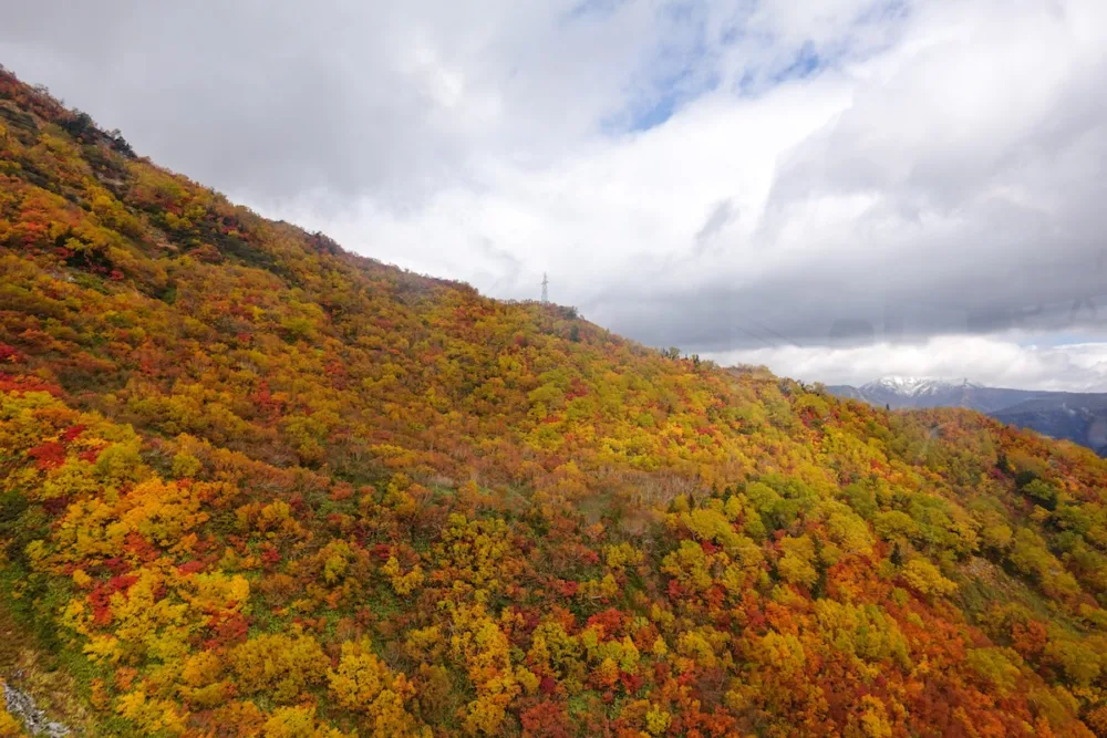 Autumn foliage on the Tateyama Kurobe Alpine Route 
