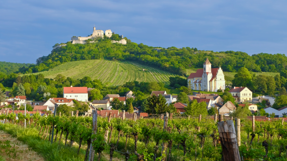 Winery day tour from Vienna