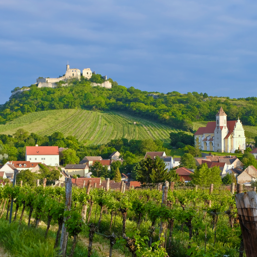 Vienna food tour that visits the wine region in city outskirts