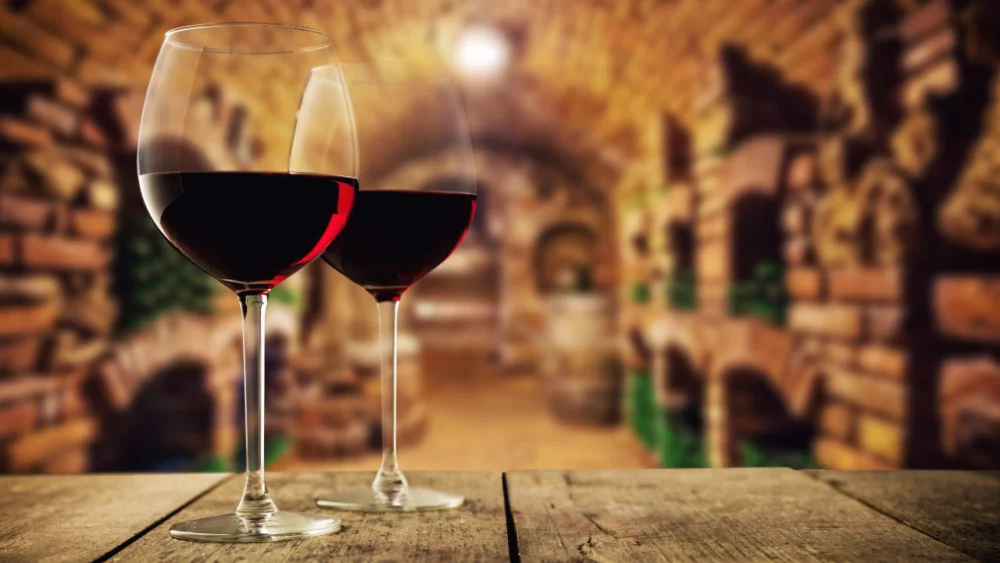 Vienna wine tasting in private cellar