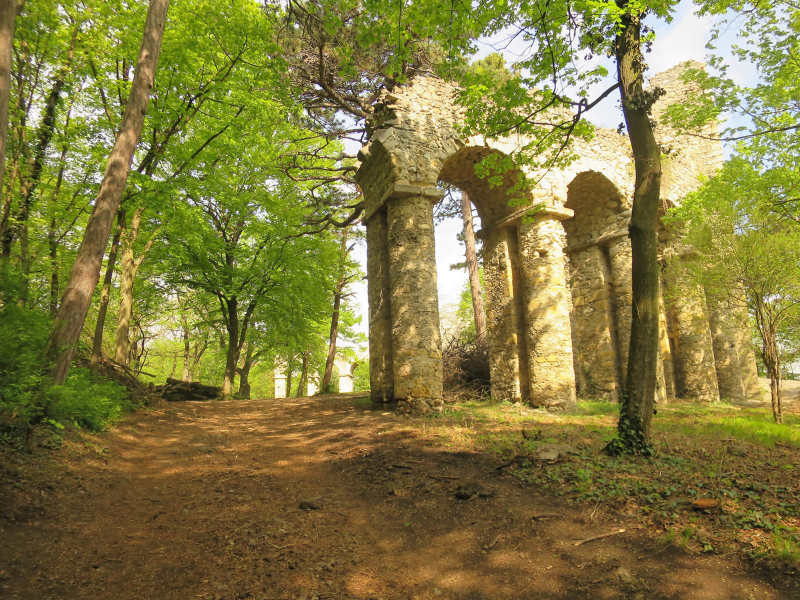 Ruins hiking in Wienerwald also known as Vienna Woods 