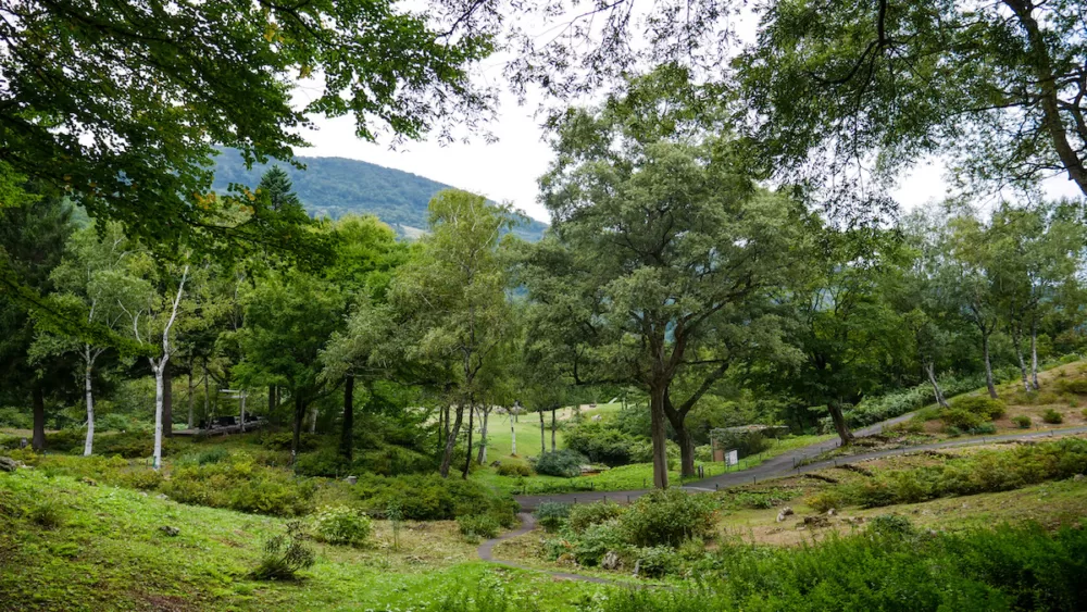 Alpine Botanical Garden in Yuzawa, Niigata