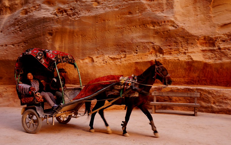 A carriage ride into Petra, Jordan with a well decorated horse trotting whilst bringing two tourists in to the Lost City for the first time