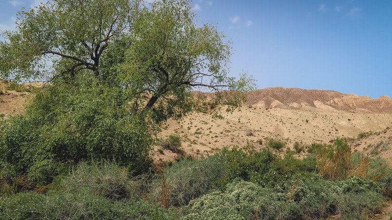A little oasis in Manjaly-Ata in Issyk Kul Lake's South Shore, Kyrgyzstan