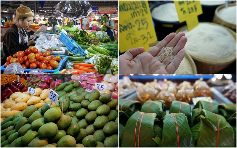 A local wet market in the outskirts of Chiang Mai where we gathered fresh ingredients for our cooking class