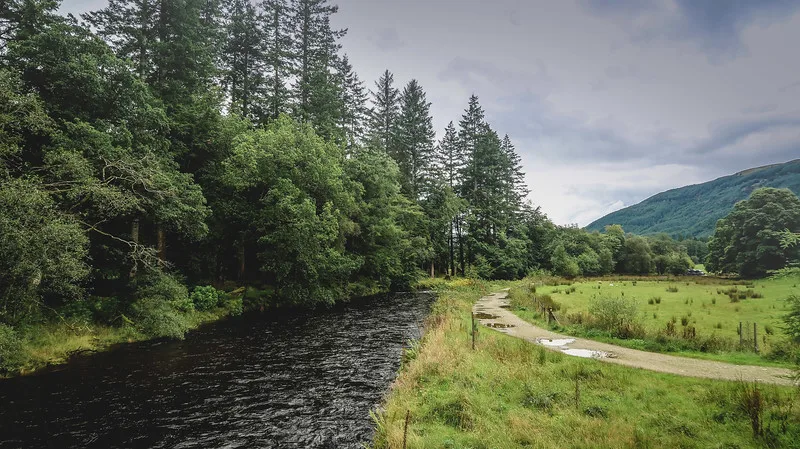 A quick stop at Benmore to enjoy the scenery which included a stream and path and trees 