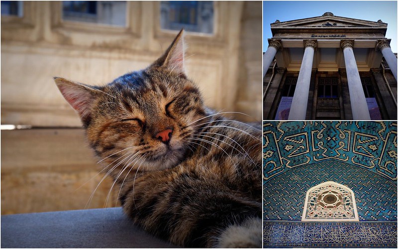 A sleepy cat in Istanbul, Turkey dozing off in the afternoon alongside some distinct architecture in the city 