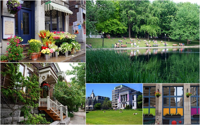 A taste of summer in Canada with cute cafes with flowers, lounging on the grass and soaking in life nearby lakes and ponds is what it is all about
