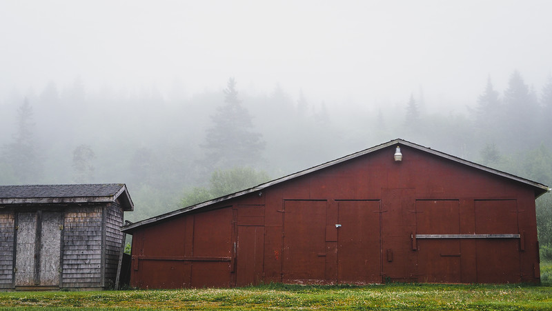 A very foggy day in Cape Enrage, New Brunswick with rustic buildings looking a bit eery and doomed 