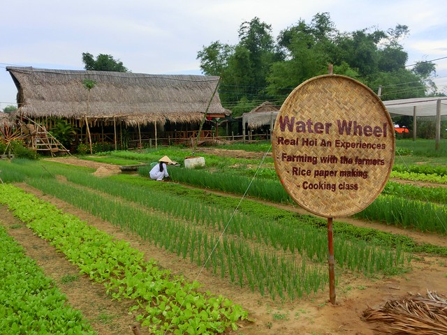 Activities at Tra Que Herb Village, near Hoi An visiting the Water Wheel as a day trip where you can farm, make rice paper and take Vietnamese cooking classes 