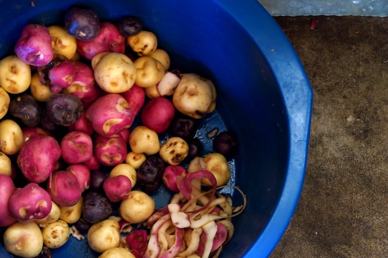 All of the beautiful multi-color potatoes being washed on Lake Titicaca, Peru at our homestay for the night 