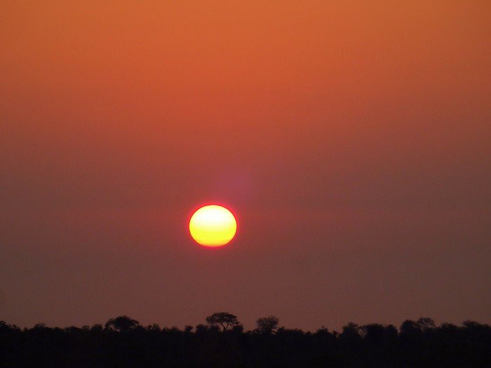 Amazing African sunrise in South Africa during our safari in Kruger National Park with a bright orb and fiery sky setting the scene 