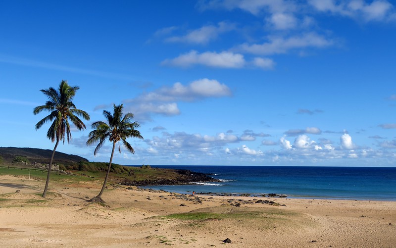 Anakena Beach on Easter Island in Chile is a pristine beach with palm trees, natural sand and views that are not easily forgotten