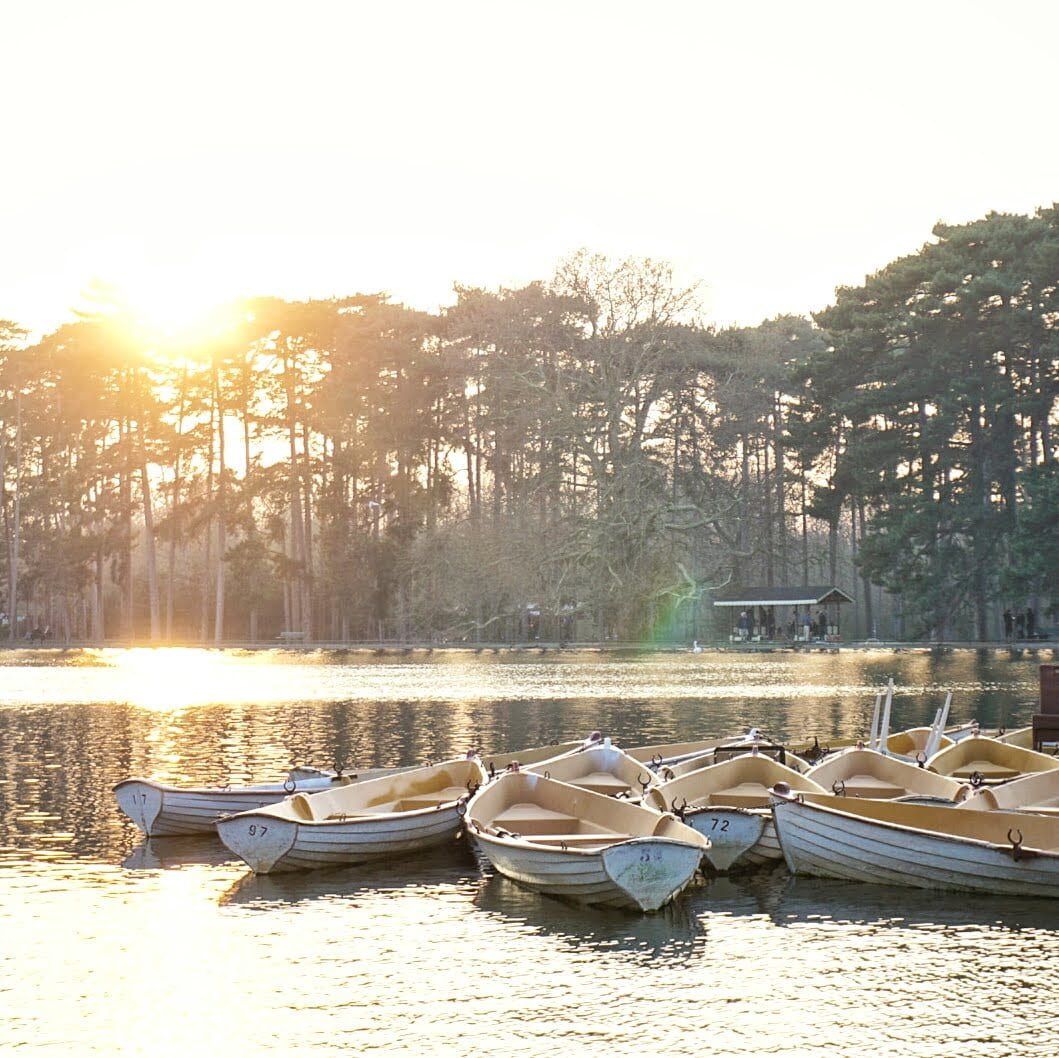 Another unusual things to do in Paris: head to Bois de Boulogne and rent a boat for quiet nature escape with epic sunsets and sunrises!