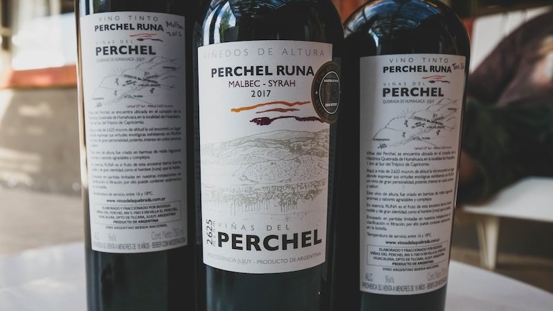 Argentine wine from Jujuy on a day trip from Salta, Argentina 