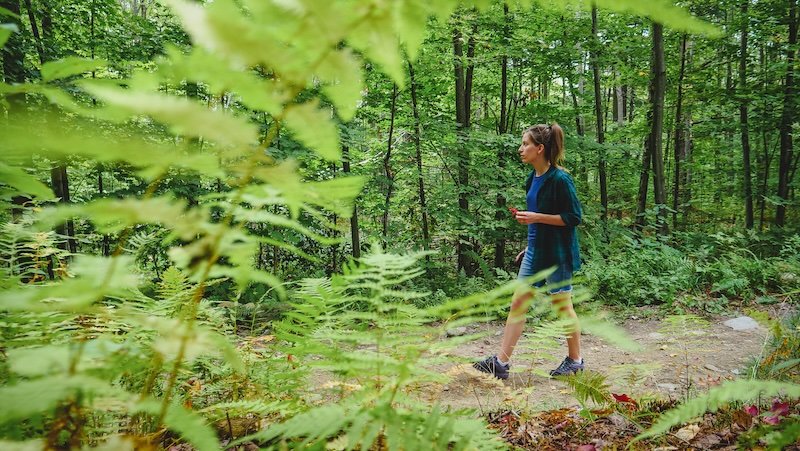 That Backpacker Audrey Bergner hiking along a lush forest trail surrounded by vibrant green ferns in Sutton, Quebec’s scenic Eastern Townships