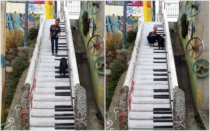 That Backpacker Audrey Bergner walking with a dog on the iconic piano steps street art staircase in Valparaíso, Chile’s bohemian port city