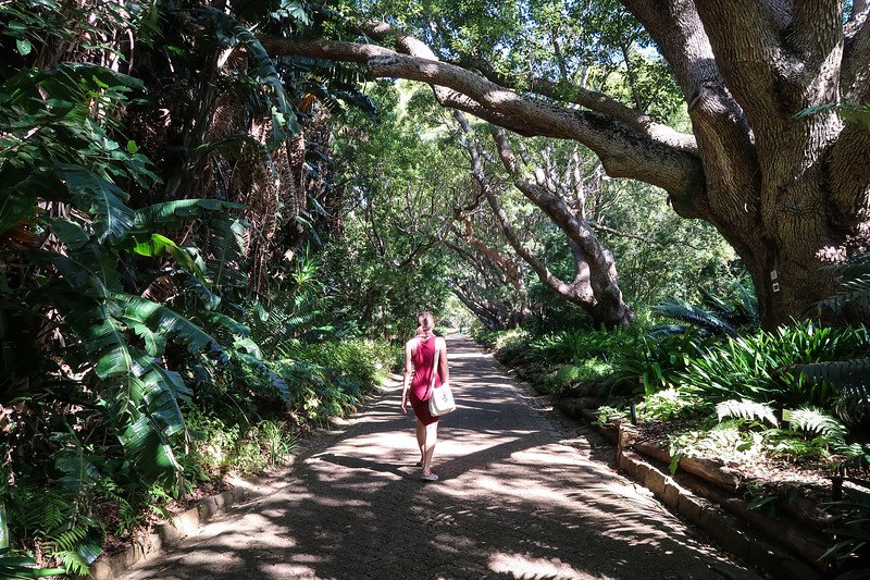 Audrey Bergner from That Backpacker walking along a shaded pathway surrounded by lush tropical foliage and towering trees at Kirstenbosch National Botanical Garden in Cape Town, South Africa