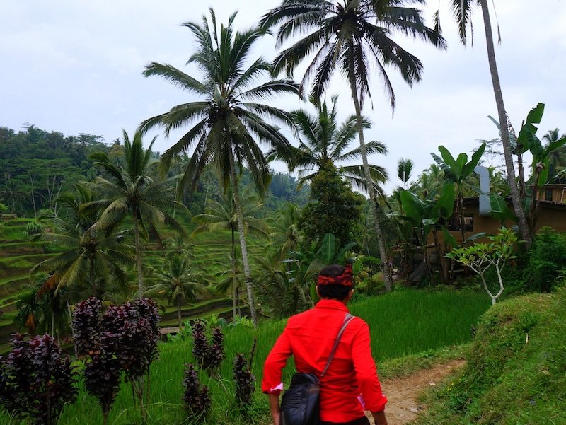 Traveler in a red shirt walking along a lush jungle trail lined with vibrant rice terraces and towering coconut palms in Bali, Indonesia, during a scenic hike