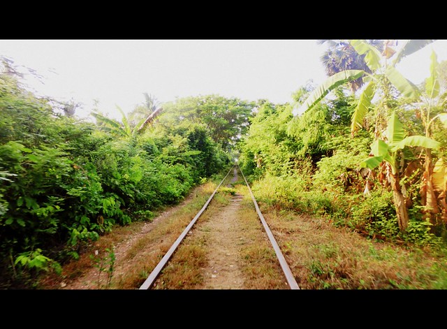 Bamboo train tracks in Battambang, Cambodia with dense jungle on both sides is what this ride is all about