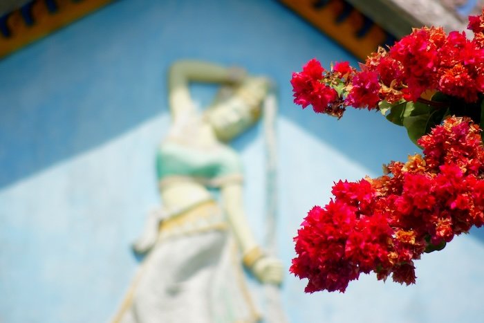 Vibrant red bougainvillea flowers in sharp focus with a blurred temple wall relief of a traditional Khmer dancer in the background in Battambang, Cambodia