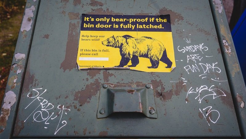 Close-up of a green bear-proof bin with a yellow warning sign from the Government of Alberta reminding visitors in the Canadian Rockies to fully latch the door to keep bears wild and safe