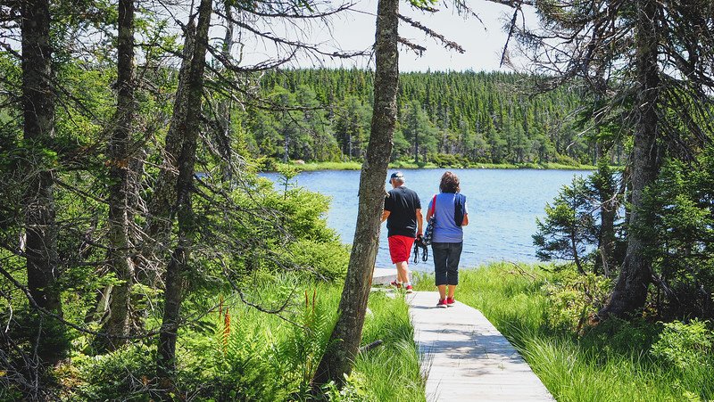 That Backpacker Audrey Bergner’s parents, Maria and Daniel, walk side by side along a wooden boardwalk surrounded by lush green forest on the peaceful hike to Benjie Lake in Cape Breton Highlands National Park, with the sparkling lake visible ahead under a sunny summer sky on the scenic Cabot Trail in Nova Scotia