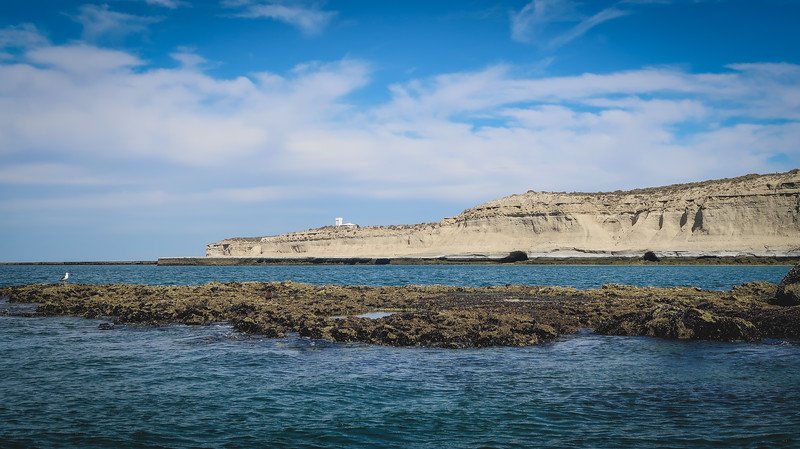 View of the rocky coastline and dramatic cliffs of Punta Pirámides during a boat tour from Puerto Pirámides, Península Valdés, Argentina. This scenic excursion offers visitors the chance to observe sea lions and marine wildlife in their natural habitat