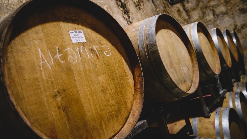 A row of wooden wine barrels labeled “Altamira” aging Malbec at Bodega Furlotti in Mendoza, Argentina. The barrels are stacked against a rustic cellar wall, showcasing the traditional winemaking process in one of the region’s historic wineries
