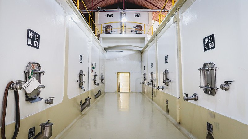A corridor lined with large white fermentation tanks at Bodega Furlotti in Mendoza, Argentina. Each tank is numbered and labeled with capacity, creating a clean and industrial look during a guided wine tour that showcases local winemaking processes