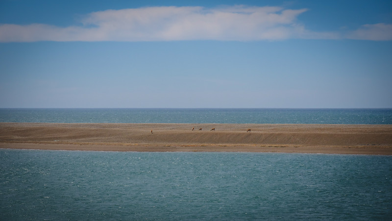 Caleta Valdés is often referred to as a geographic accident due to its unusual shape which is distinctly unique in Patagonia, Argentina