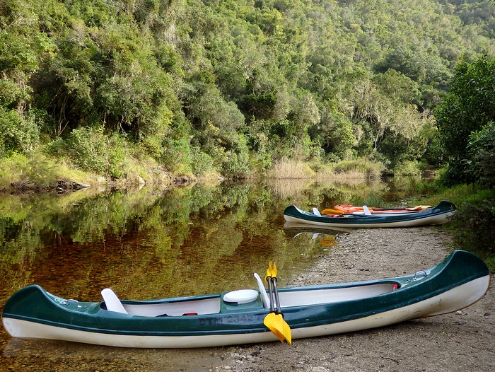 Canoeing and kayaking the Touw River in Wilderness, South Africa with clear and calm waters and greenery surrounding us